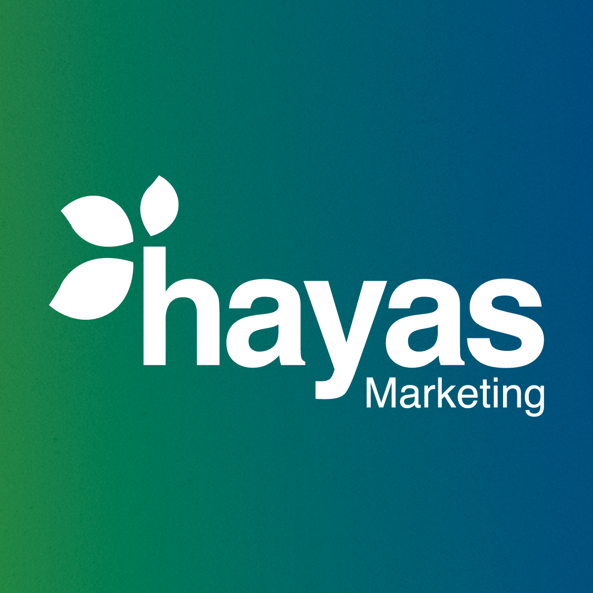 marketing_hayasmarketing